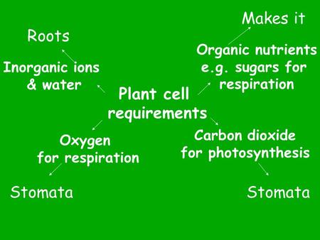 Plant cell requirements