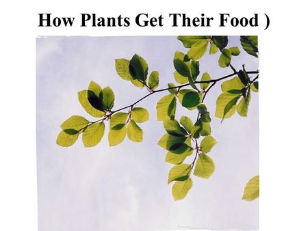How Plants Get Their Food ). Photosynthesis Green plants take in carbon dioxide (CO 2 ) from the air They take up water (H 2 O) from the soil The plants.