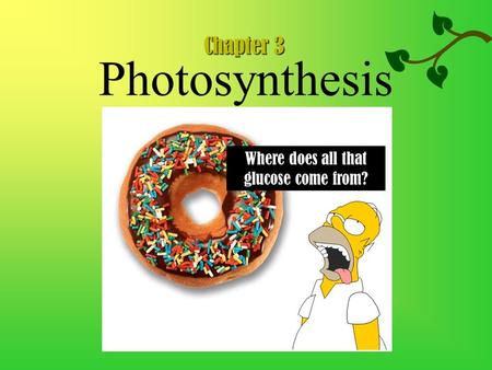 Photosynthesis Where does all that glucose come from? Chapter 3.