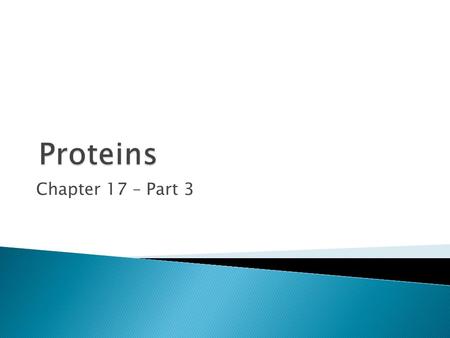 Chapter 17 – Part 3. Figure 6.6 How Does the Body Use Protein?  Functions of protein ◦ Provide structural and mechanical support ◦ Maintain.