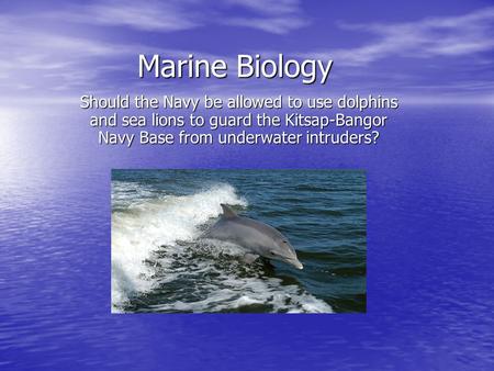 Marine Biology Should the Navy be allowed to use dolphins and sea lions to guard the Kitsap-Bangor Navy Base from underwater intruders?