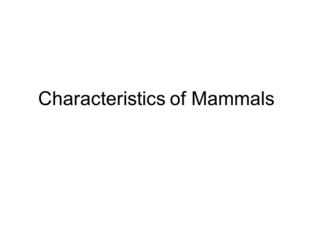 Characteristics of Mammals. Major Characteristics Endotherms: ability to maintain a fairly constant body temp. –Enables them to live in almost every place.