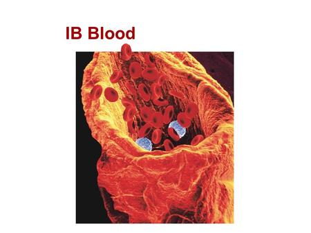 IB Blood Photo Credit: © Image Shop/Phototake.