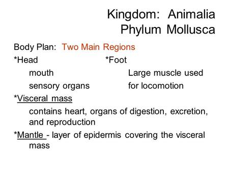 Kingdom: Animalia Phylum Mollusca Body Plan: Two Main Regions *Head*Foot mouthLarge muscle used sensory organsfor locomotion *Visceral mass contains heart,