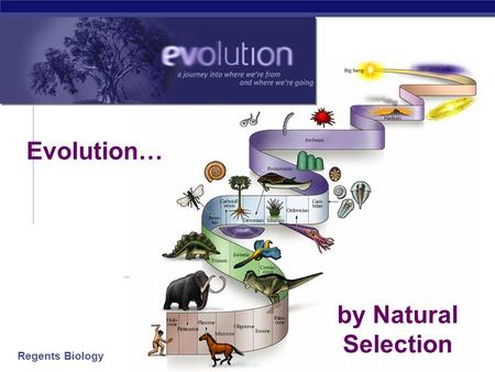 Regents Biology 2006-2007 by Natural Selection Evolution…