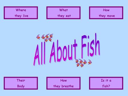 Where they live What they eat How they move Is it a fish? How they breathe Their Body.