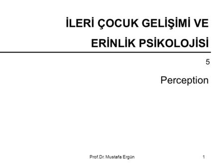 Prof.Dr. Mustafa Ergün1 İLERİ ÇOCUK GELİŞİMİ VE ERİNLİK PSİKOLOJİSİ 5 Perception.