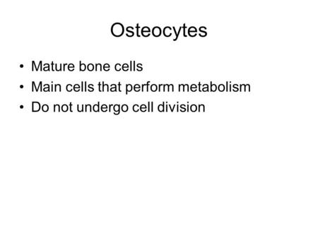 Osteocytes Mature bone cells Main cells that perform metabolism Do not undergo cell division.
