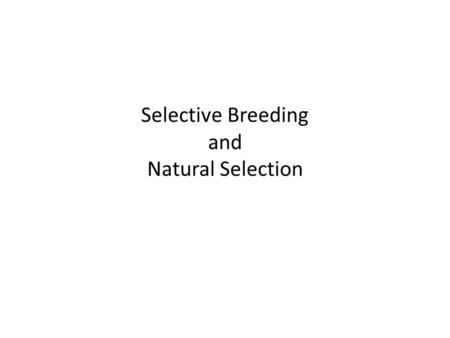 Selective Breeding and Natural Selection. DNA Technology.