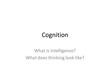 Cognition What is intelligence? What does thinking look like?