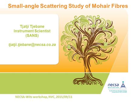 Small-angle Scattering Study of Mohair Fibres Tjatji Tjebane Instrument Scientist (SANS) NECSA-Wits workshop, NVC, 2015/09/11.