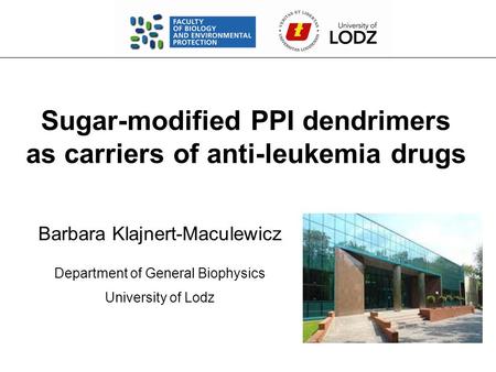 Sugar-modified PPI dendrimers as carriers of anti-leukemia drugs