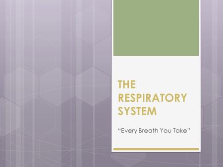 THE RESPIRATORY SYSTEM “Every Breath You Take”. RESPIRATORY SYSTEM  The four main functions:  Controls blood pH  Delivers oxygen to body and removes.