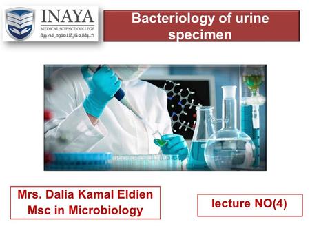 Bacteriology of urine specimen