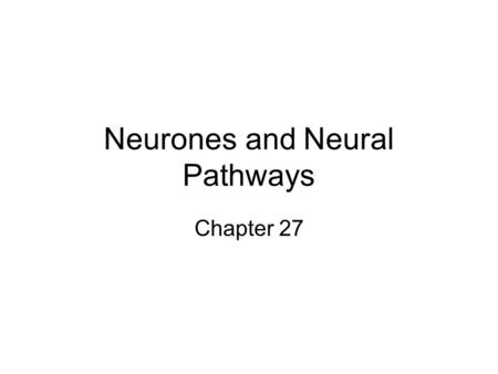 Neurones and Neural Pathways Chapter 27. The nervous system consists of a complex network of nerve cells called NEURONES. The diagram shows the three.