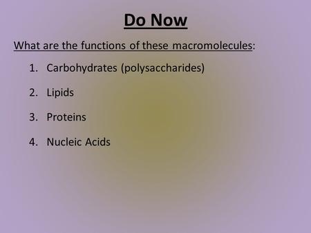 Do Now What are the functions of these macromolecules: 1.Carbohydrates (polysaccharides) 2.Lipids 3.Proteins 4.Nucleic Acids.