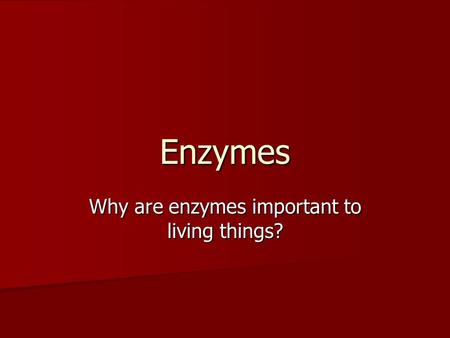 Why are enzymes important to living things?