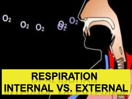 15-1. 15-2 15-3 15-4 Internal Respiration Internal respiration is the diffusion of O 2 from systemic capillaries into tissues and CO 2 from tissue fluid.