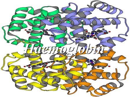 Haemoglobin Basic Knowledge: Haemoglobin is an iron protein - compound in red blood cells that transports oxygen, carbon dioxide, and nitric oxide. Haemoglobin.