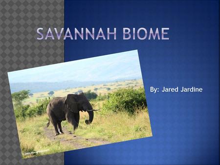 By: Jared Jardine.  A Savanna is considered a grassland because the rainfall amount is so small that it cant support trees, the only things that can.
