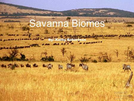 Savanna Biomes By: Kathy Robertson. Savanna Biomes have warm a warm temperature all year long; Savanna biomes have two very different seasons, they have.