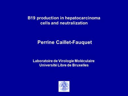 Perrine Caillet-Fauquet Laboratoire de Virologie Moléculaire Université Libre de Bruxelles B19 production in hepatocarcinoma cells and neutralization.