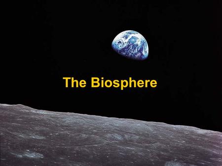 The Biosphere. What is Ecology? Ecology – the scientific study of interactions among organisms and between organisms and their environment, or surroundings.