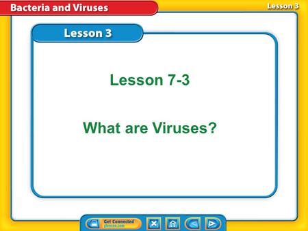 Lesson 7-3 What are Viruses?