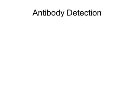 Antibody Detection. Part II Detection of Antigens Western Blotting “Dot-Blot Assay” Positive Control Primary antibody (IgY) Lysed E. Coli Cells Lysed.