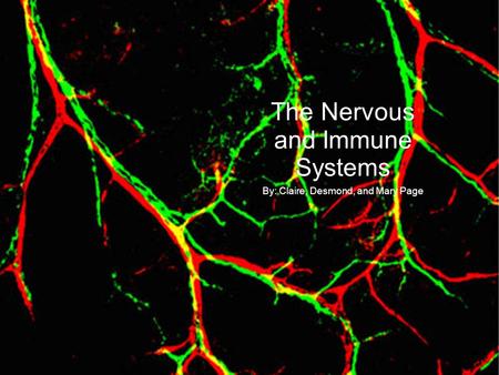 The Nervous and Immune Systems