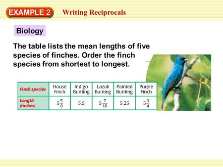 EXAMPLE 2 Writing Reciprocals The table lists the mean lengths of five species of finches. Order the finch species from shortest to longest. Biology.
