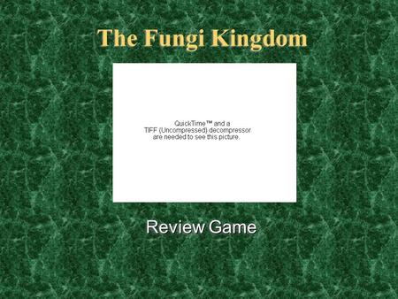 The Fungi Kingdom Review Game Review Game Zygomycota Ascomycota Basidiomycota Deuteromycotes General?’s 200 400 200 1000 800 600 400 200 600 800 1000.