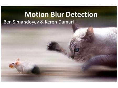 Motion Blur Detection Ben Simandoyev & Keren Damari.