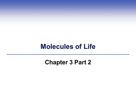 Molecules of Life Chapter 3 Part 2. 3.5 Proteins – Diversity in Structure and Function  Proteins are the most diverse biological molecule (structural,