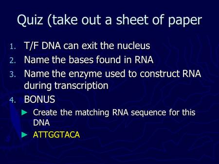Quiz (take out a sheet of paper 1. T/F DNA can exit the nucleus 2. Name the bases found in RNA 3. Name the enzyme used to construct RNA during transcription.
