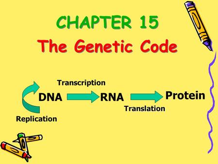 CHAPTER 15 The Genetic Code CHAPTER 15 The Genetic Code DNARNA Protein Replication TranscriptionTranslation.