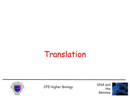CFE Higher Biology DNA and the Genome Translation.