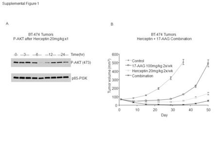 Herceptin + 17-AAG Combination BT-474 Tumors