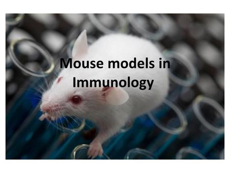 Mouse models in Immunology