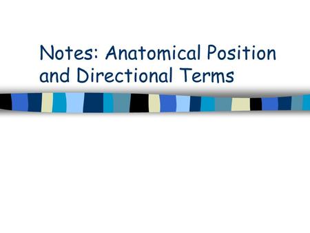 Notes: Anatomical Position and Directional Terms