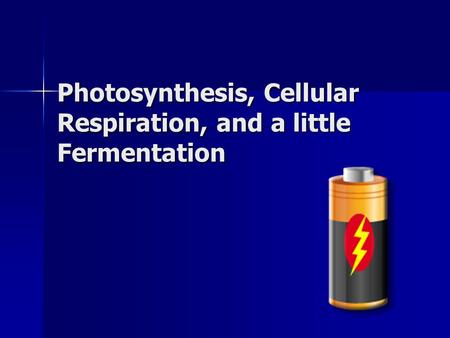 Photosynthesis, Cellular Respiration, and a little Fermentation.