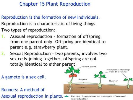 Chapter 15 Plant Reproduction
