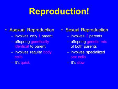 Reproduction! Asexual Reproduction Sexual Reproduction