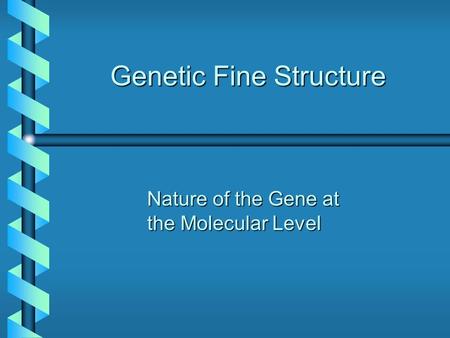 Genetic Fine Structure Nature of the Gene at the Molecular Level.