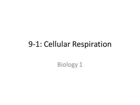 9-1: Cellular Respiration Biology 1. Respiration is also used to mean “breathing” Animals use cellular respiration to break down oxygen and sugar into.