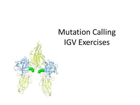 Mutation Calling IGV Exercises. Run IGV – Web search IGV (Integrative Genomics Viewer) – Go to Download page – may need to provide email – Launch with.