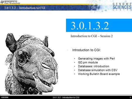 3.0.1.3.2 – Introduction to CGI 4/8/2004 3.0.1.3.2 - Introduction to CGI 1 3.0.1.3.2 Introduction to CGI – Session 2 · Introduction to CGI:  Generating.