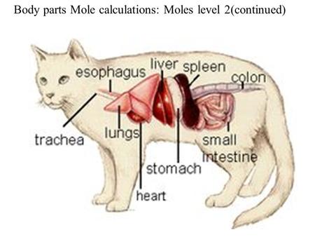 Body parts Mole calculations: Moles level 2(continued)