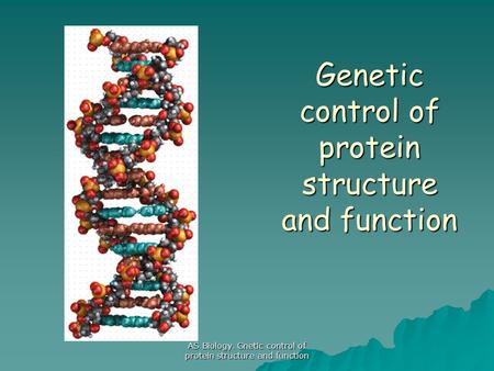 AS Biology. Gnetic control of protein structure and function Genetic control of protein structure and function.