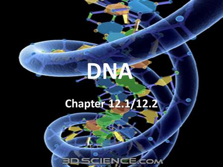 DNA Chapter 12.1/12.2.